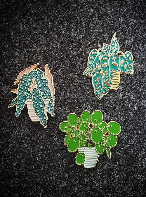 Monstera Obliqua pin - Bild 2